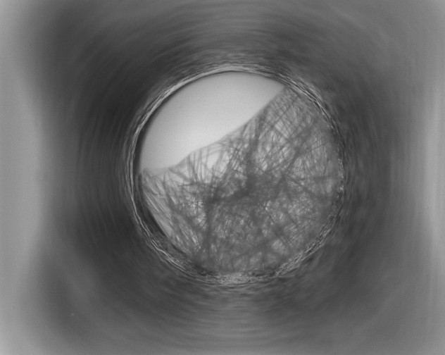 X0000116590098200912101341
