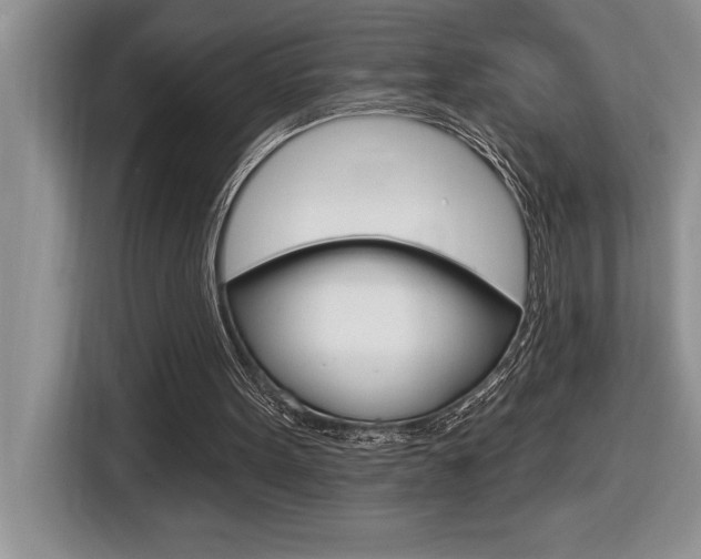 X0000116590099200912101341