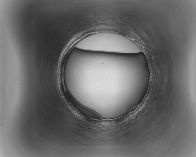 X0000116590101200912101341