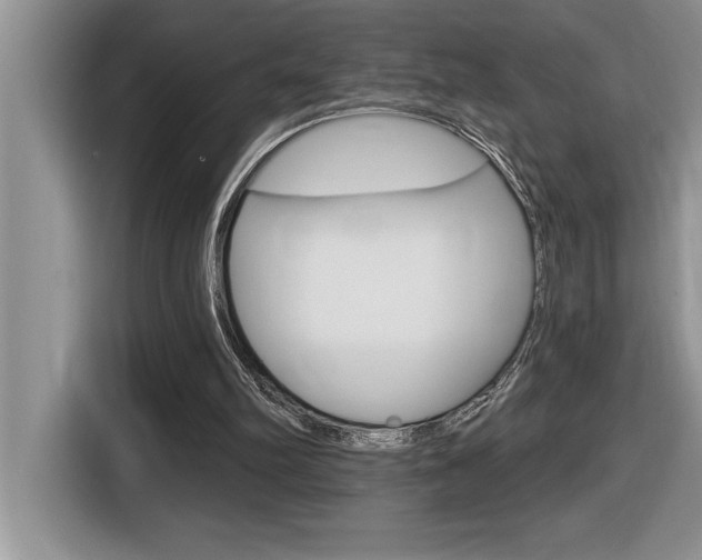 X0000116590102200912101341