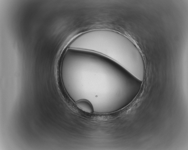 X0000116590103200912101341