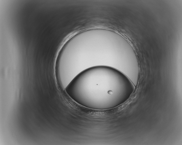 X0000116590104200912101341