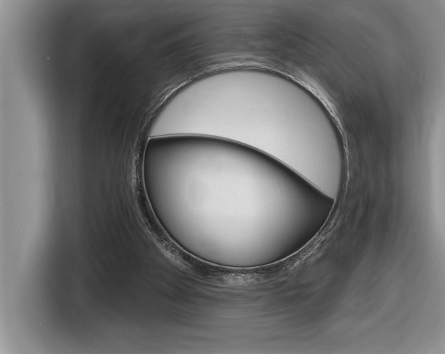 X0000116590105200912101341