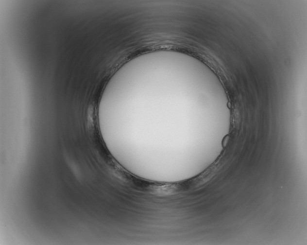 X0000116590122200912101341