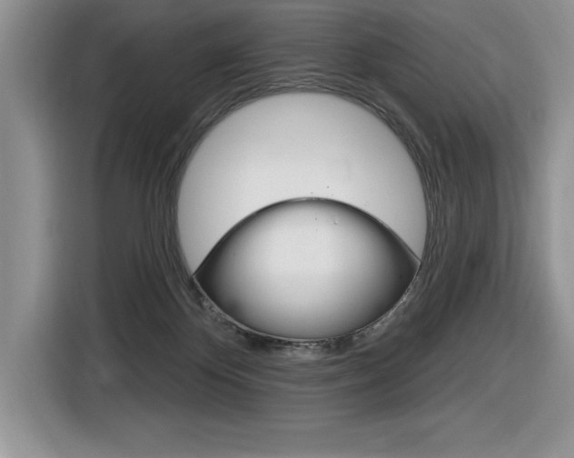 X0000116590124200912101341
