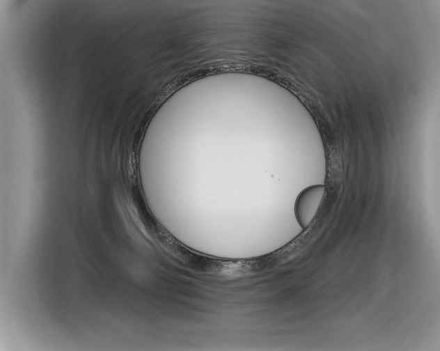 X0000116590130200912101340