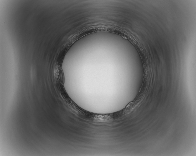 X0000116590137200912101340
