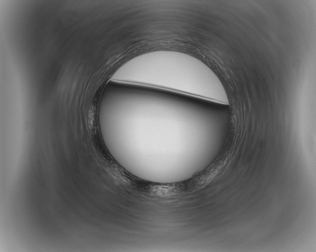 X0000116590139200912101340