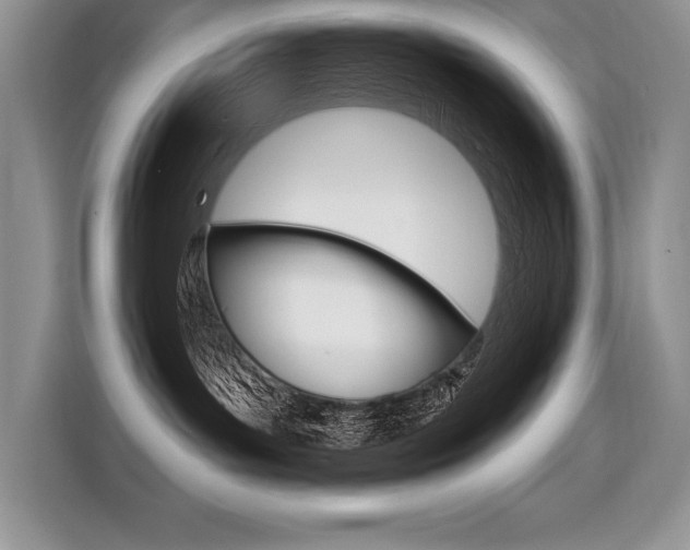 X0000116590143200912101340