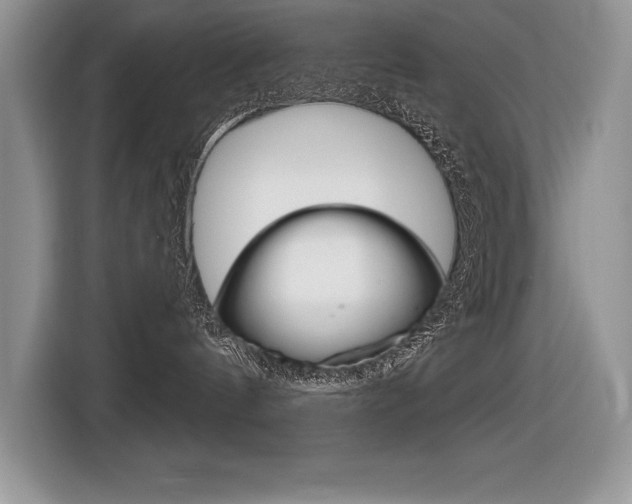 X0000116590144200912101340