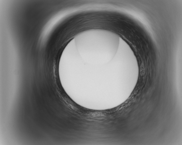 X0000116590146200912101340