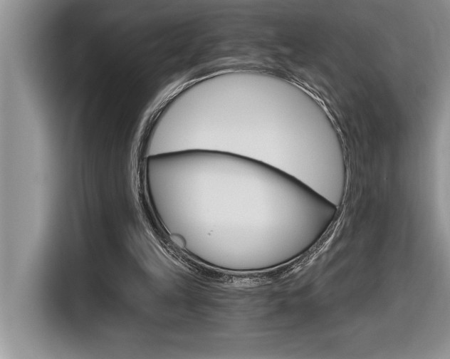 X0000116590149200912101340