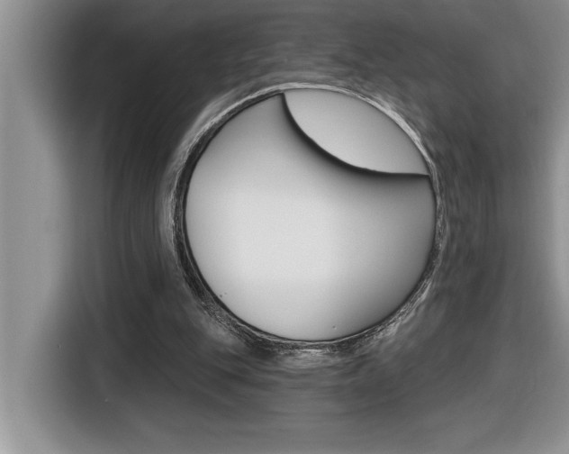 X0000116590151200912101340