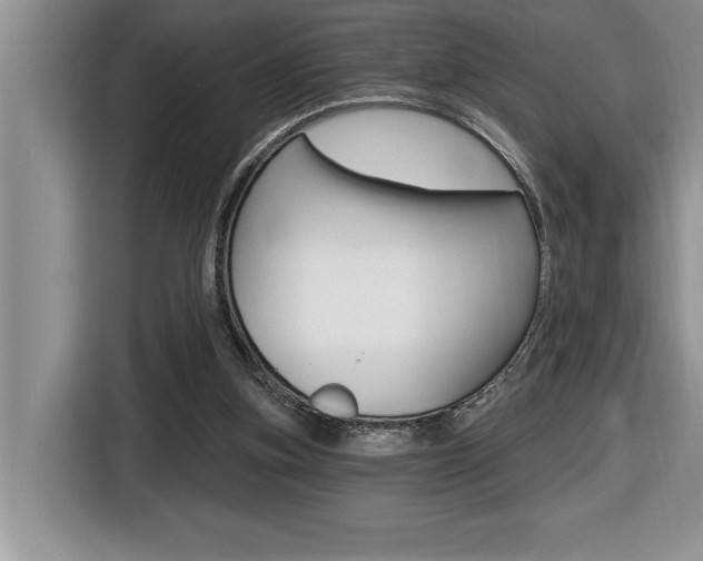 X0000116590155200912101340