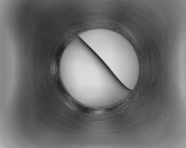 X0000116590173200912101340
