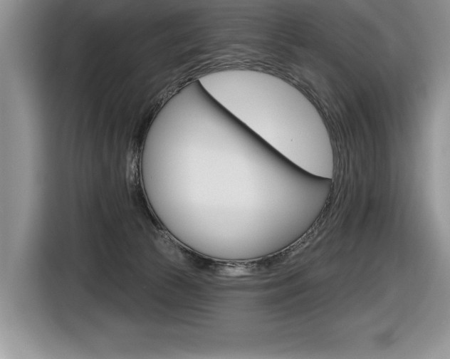 X0000116590177200912101340