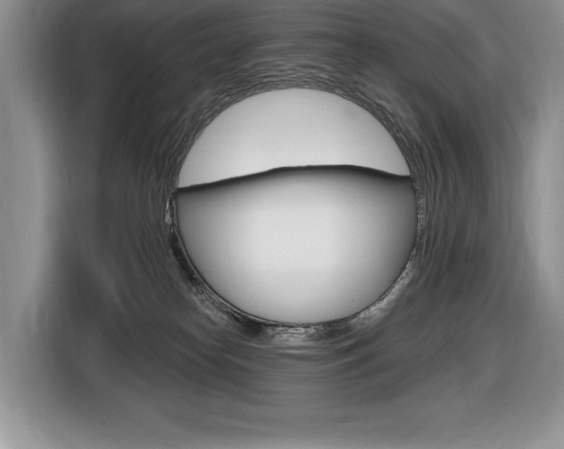 X0000116590182200912101340