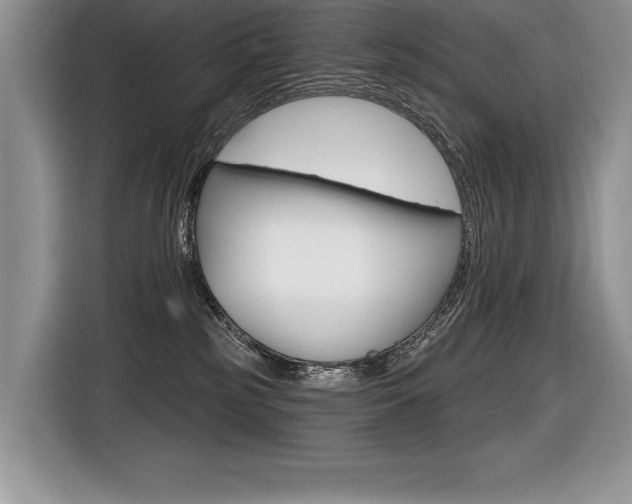 X0000116590185200912101340