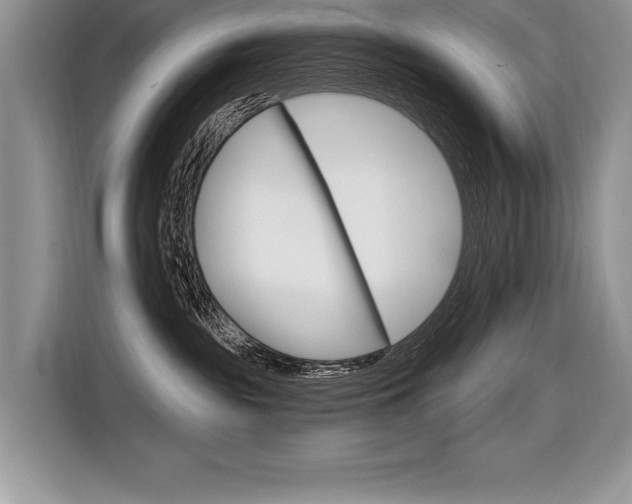 X0000116590189200912101340