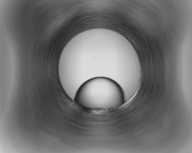 X0000116590190200912101340