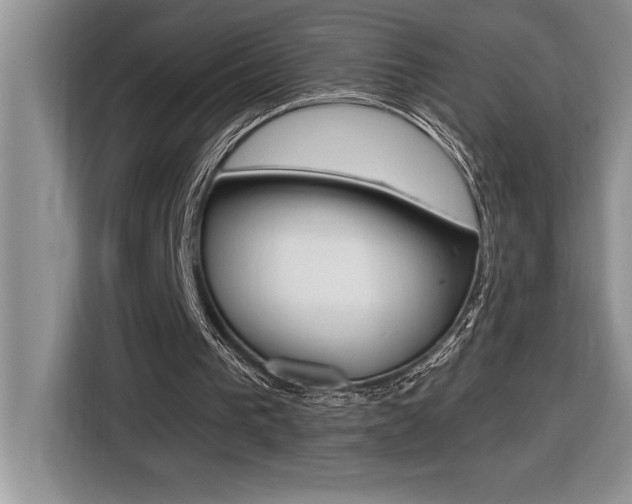 X0000116590193200912101340