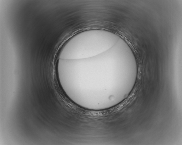 X0000116590194200912101339
