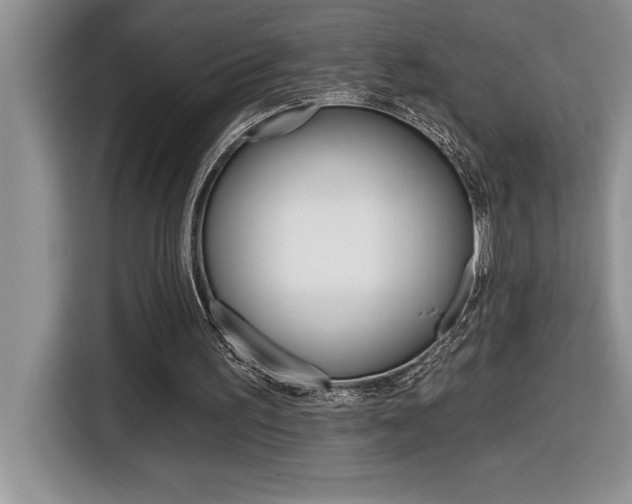 X0000116590195200912101339