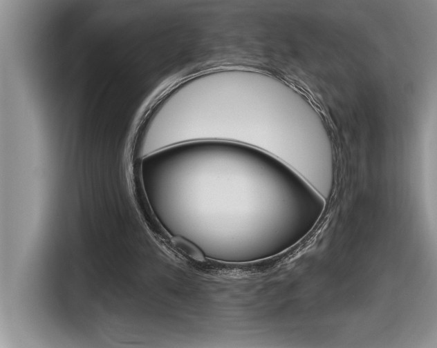 X0000116590197200912101339