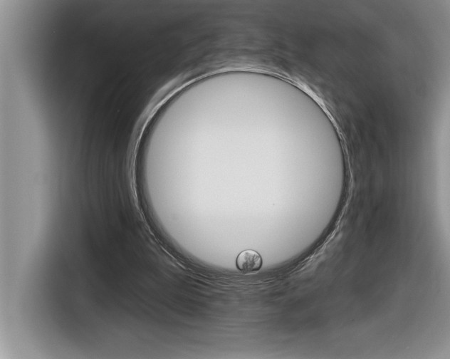 X0000116590199200912101339