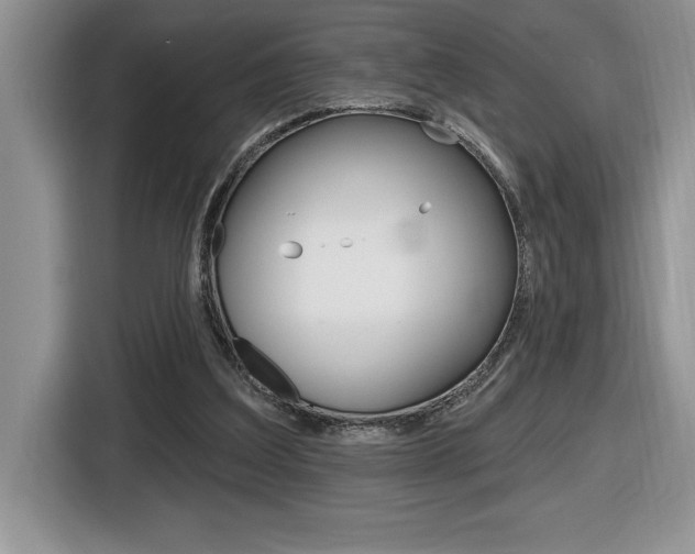 X0000116590203200912101339
