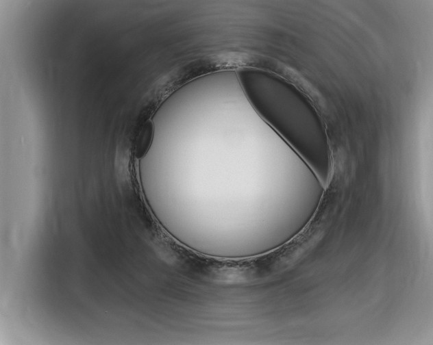 X0000116590209200912101339