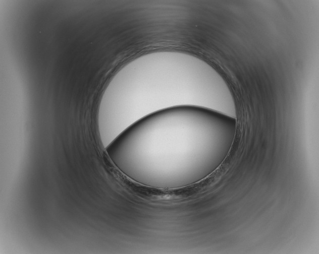 X0000116590212200912101339
