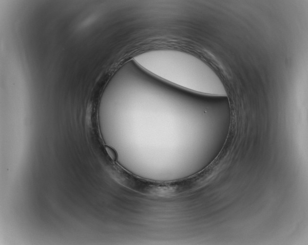 X0000116590217200912101339