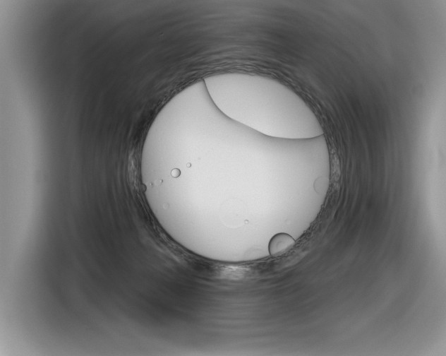 X0000116590222200912101339