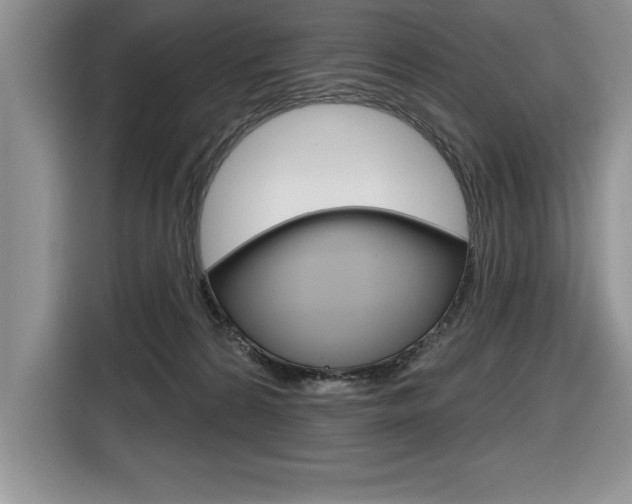 X0000116590224200912101339