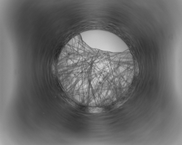 X0000116590226200912101339