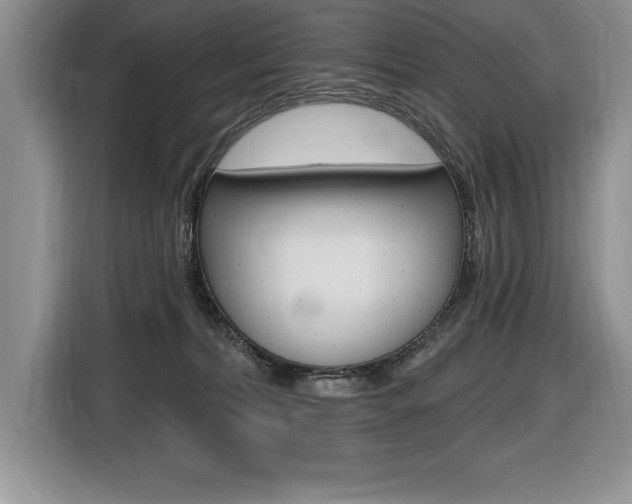 X0000116590228200912101339