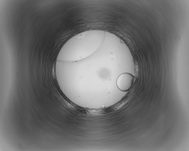 X0000116590238200912101339