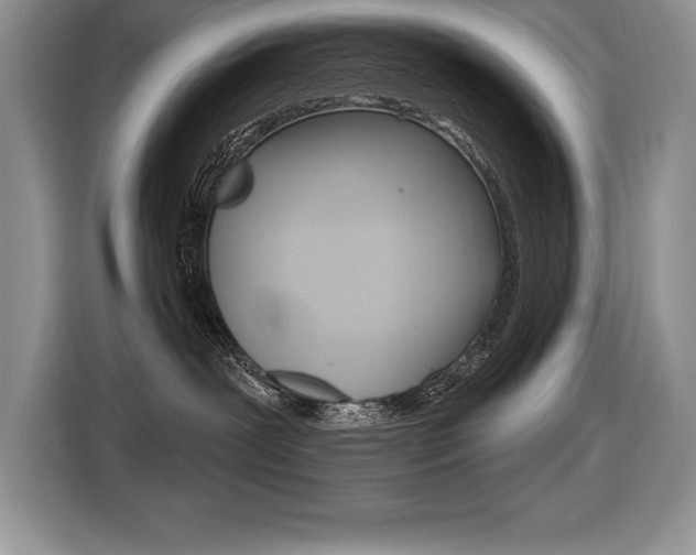 X0000116590239200912101339
