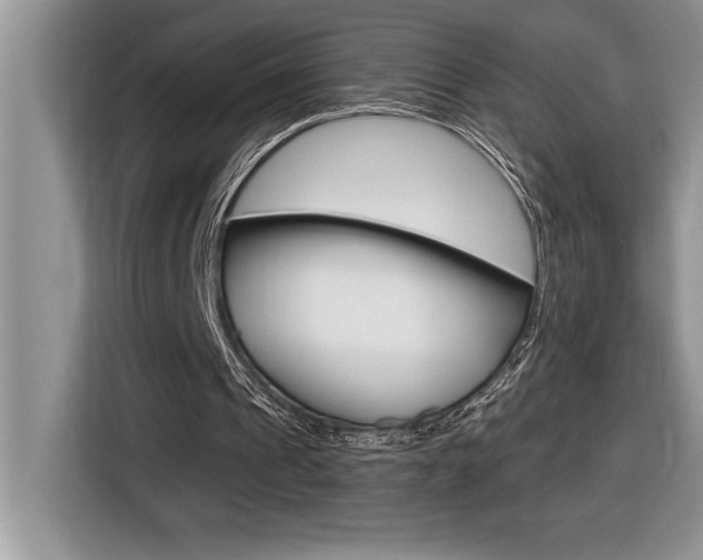 X0000116590241200912101338