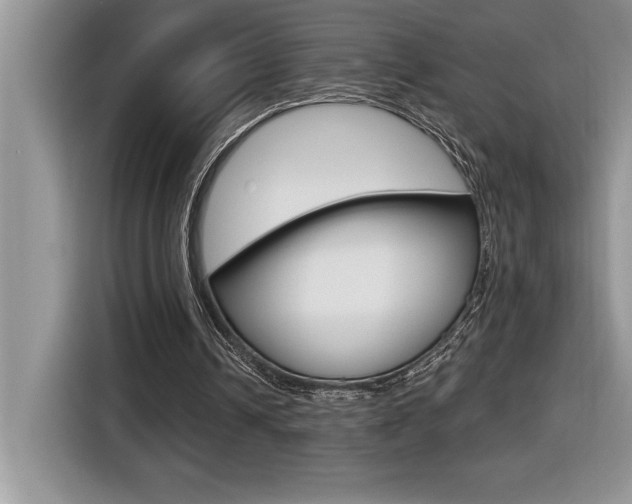 X0000116590242200912101338