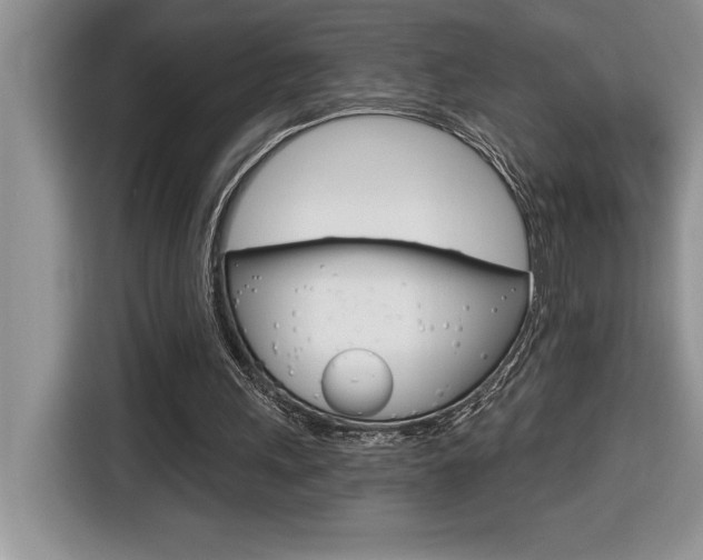 X0000116590243200912101338