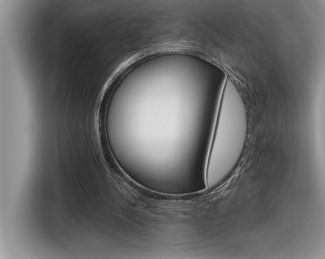X0000116590244200912101338