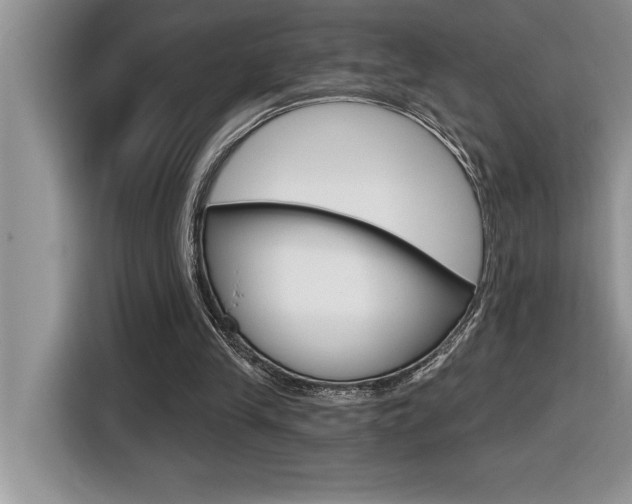 X0000116590245200912101338