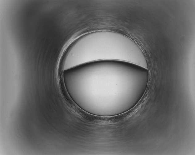 X0000116590246200912101338