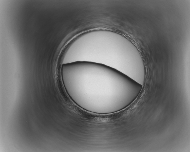 X0000116590247200912101338