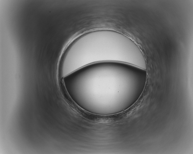 X0000116590248200912101338