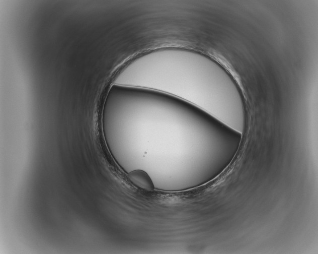 X0000116590249200912101338
