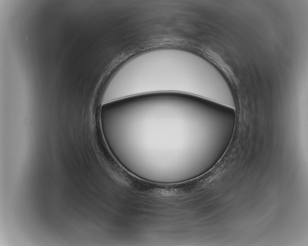 X0000116590250200912101338