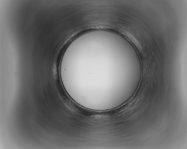 X0000116590251200912101338